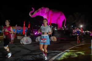 BIB: 
                            <button type="button" onclick="openModal(26552189)" class="btn btn-primary btn-sm float-right btn-popup" data-toggle="modal" data-target=".modal-high-quality">
                        <i class="fas fa-shopping-cart"></i> Add to Cart
                    </button>
                                            <button type="button" onclick="isThisMe(26552189, true)" class="btn btn-success btn-sm float-right btn-popup btn-isme hidden" data-toggle="tooltip" data-placement="bottom" title="นี่คือรูปของคุณใช่ไหม คลิกที่นี่เพื่อเอาเข้าอัลบั้ม">
                        <i class="fas fa-plus"></i> Add to album
                    </button>
                    <button type="button" onclick="isThisMe(26552189, false)" class="btn btn-warning btn-sm float-right btn-popup btn-isnotme hidden">
                        <i class="fas fa-ban"></i> Remove from album
                    </button>